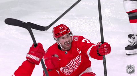 Happy Red Wings GIF by NHL