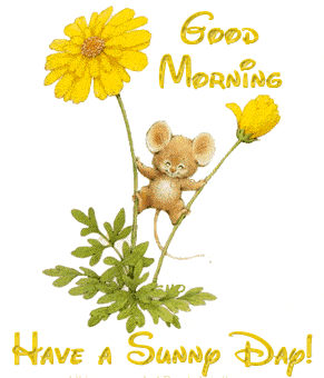 Rise And Shine Whatsapp Status GIF by good-morning
