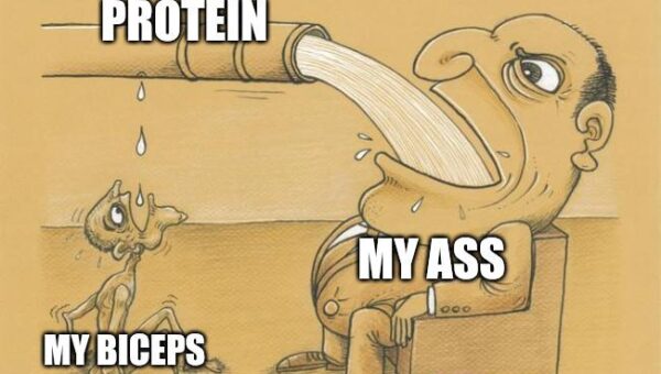Going to the gym be like: