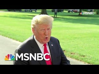 Important! Donald Trump, A Very Stable Genius, Tries To Read The Constitution | All In | MSNBC