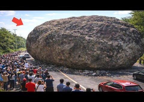 75 Most Unbelievable Nature Moments Ever Caught on Camera!