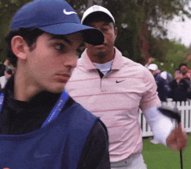 Golfing Tiger Woods GIF by hamlet