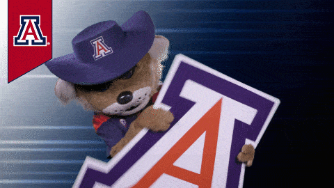 University Of Arizona GIF by College Colors Day