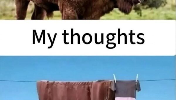 My Thoughts
