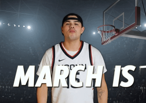 March Madness Hoops GIF by Basketball Madness