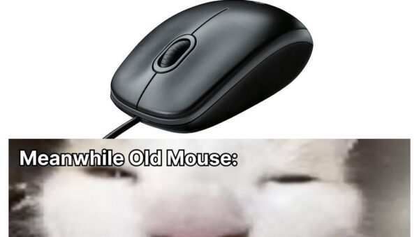 Mouse Balls!