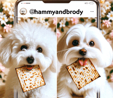Greeting To Life GIF by HammyandBrody