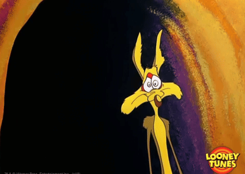 Wile E Coyote No GIF by Looney Tunes