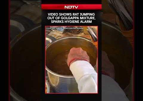Viral Video Shows Rat Jumping Out Of Golgappa Mixture, Sparks Hygiene Alarm