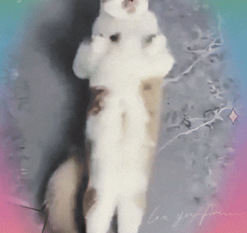 Happy Dance