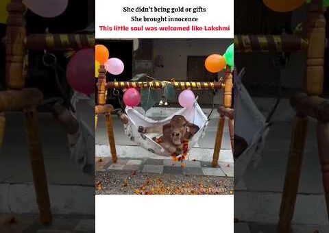 She Was Welcomed Like Lakshmi 🙏🐄 | Purest Celebration Ever #gaumata #trendingnow #viralreels