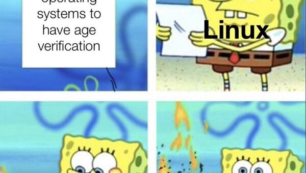 You literally cannot force Linux to do that