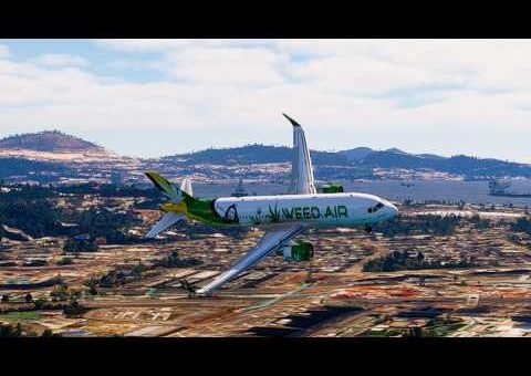 Amazing Flight Moments Caught on Camera eps. 117