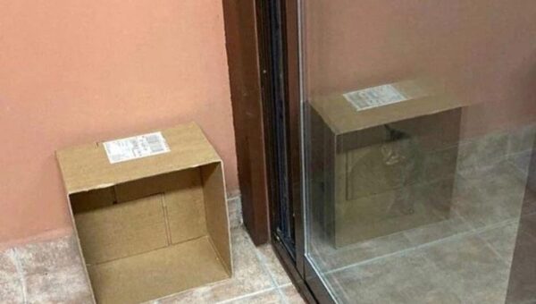 Schrödinger’s mirror