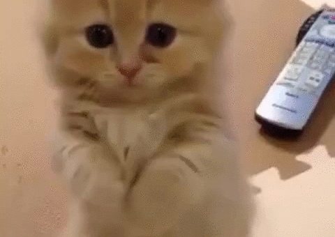 please