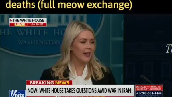 Karoline Meow Leavitt vs Kaitlan Collins
