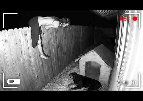 120 Incredible Moments Caught on CCTV Camera