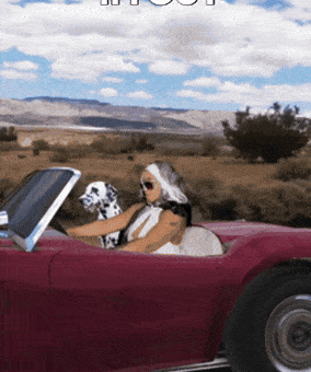 See Ya Goodbye GIF by BeautifulDiz