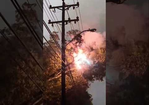 Nature’s Fury: Terrifying Lightning Strikes and Exploding Trees Caught on Camera! ⚡️🌲