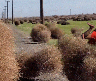 Flip Rolling GIF by Rodney Dangerfield