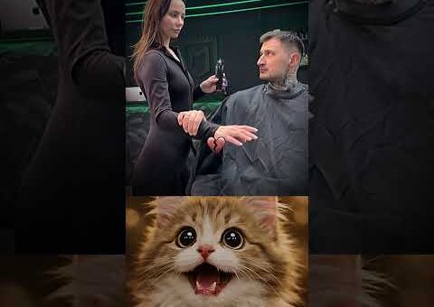 Ordinary to Iconic One Cut Away 😅 #funny #memes #cat #trendingnow