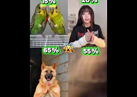 New viral trend #tiktok #music #dance #duet #usa #challenge #trending #viral#shorts#funny#transition