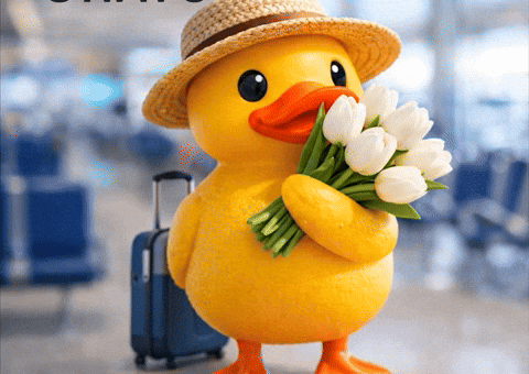 March 8 Travel GIF by Ohayu eSIM