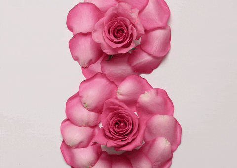 dia de la mujer women GIF by cintascotch