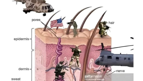 USA when they detect oil