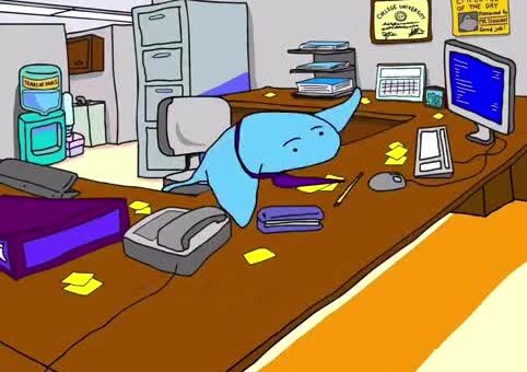 First day at work