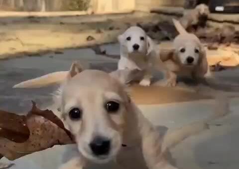 Hold on ! Hold on!