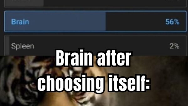 Lol,The most narcissistic organ