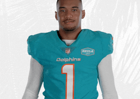 Miami Football Hello GIF by Miami Dolphins