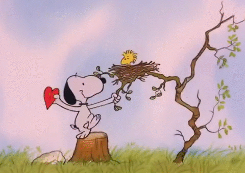 Valentines Day Valentine GIF by Peanuts
