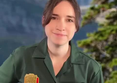 Elle Cordova (@ellecordova@threads.net): Thoughts and prayers to the EPA :(