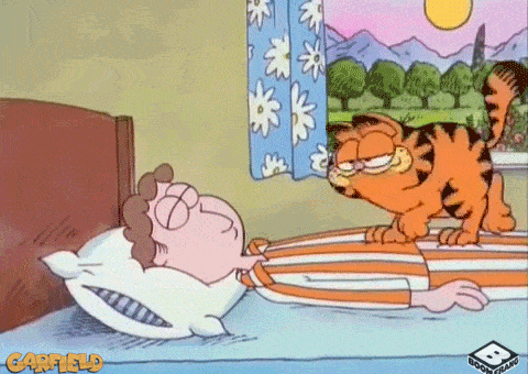 Good Morning Dancing GIF by Boomerang Official