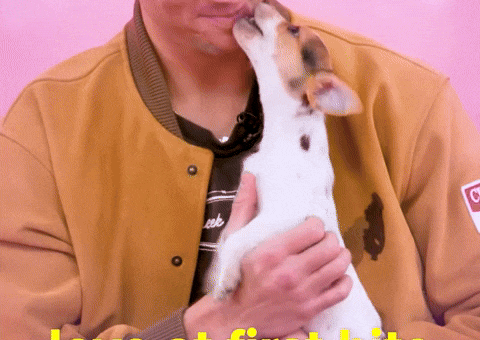 Puppy Love GIF by BuzzFeed