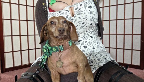 A photo of my pup Tiger Lilly #1175