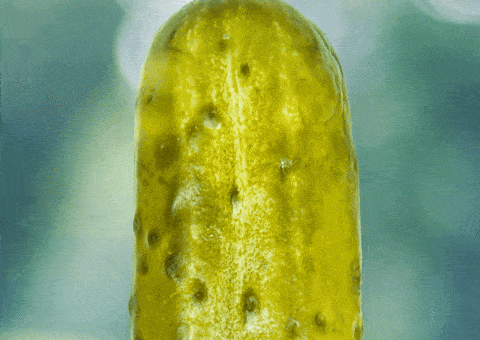 Dill Pickles Deal With It GIF by Dietz & Watson