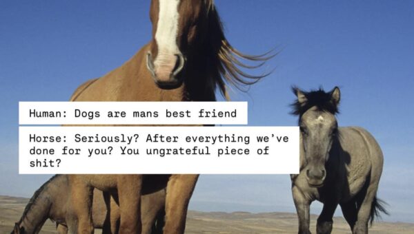 Go ride a dog into battle then!