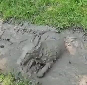 Having fun