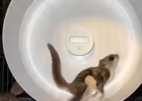 Jumping into the housing market these days