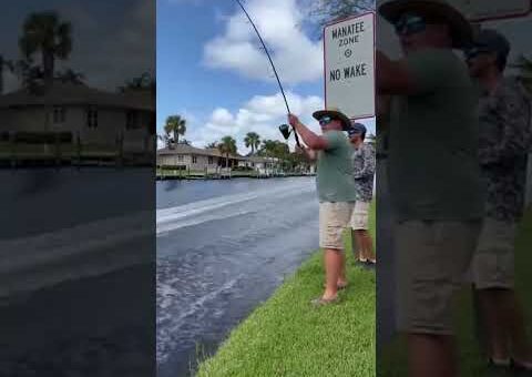 Boater Ignores No Wake Zone… Instant Karma 🎣