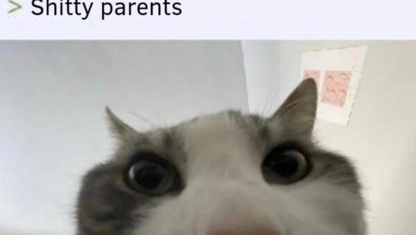 90% of the posts are something like this