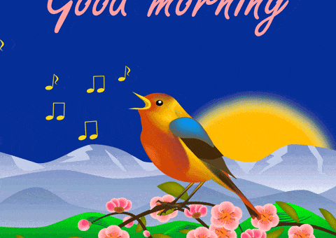 Happy Good Morning GIF by EleonoraKuz