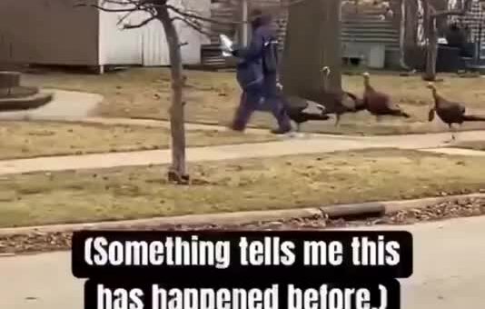 Mailman gets a neighborhood escort