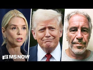 Trump got rid of Bondi because ‘she was about to be deposed’ in Epstein case: Dem Rep