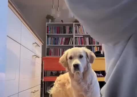 Su-paw-visor