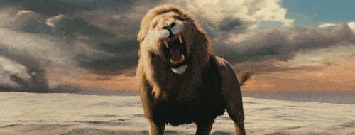 lions