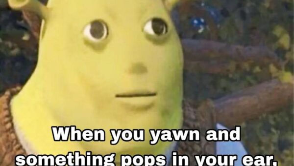 Frrrrrrrrrr